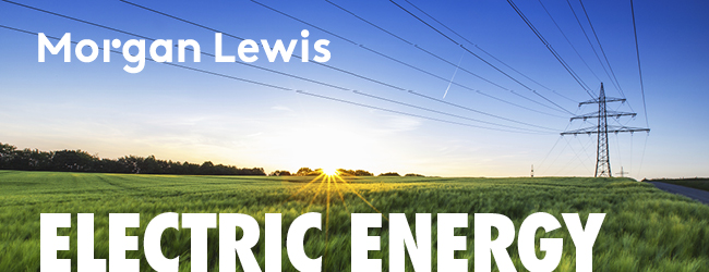 Morgan Lewis | Electric Energy