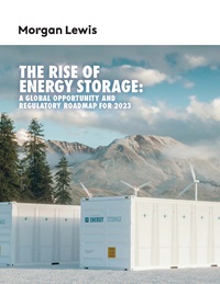 The Rise of Energy Storage