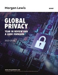 Global Privacy: Year in Review and a Look Forward, 2023–2024