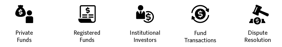 Private Funds, Registered Funds, Institutional Investors, M&A Funds