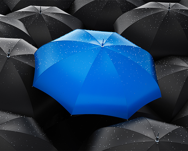 blue and black umbrellas