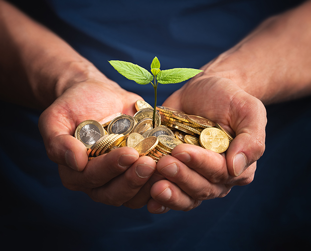 money change with plant sprouting in hands