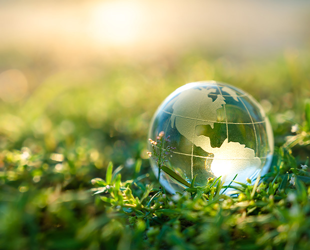 Glass globe in grass