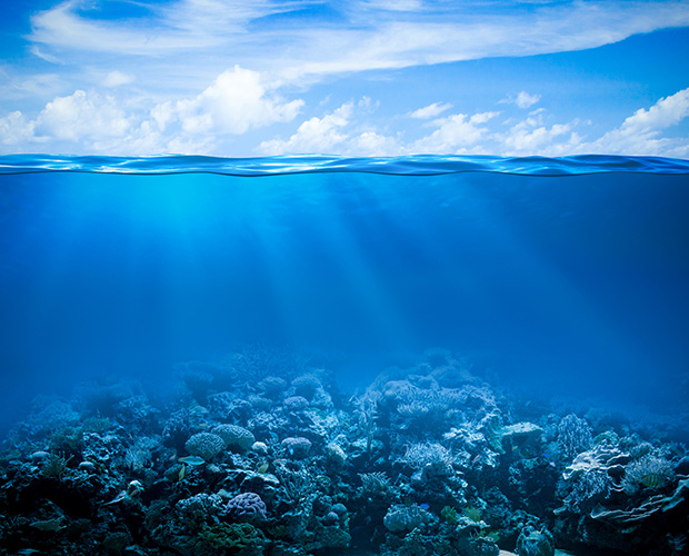 Maritime decarbonization