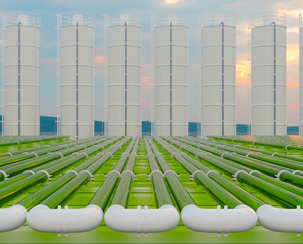 Carbon Capture