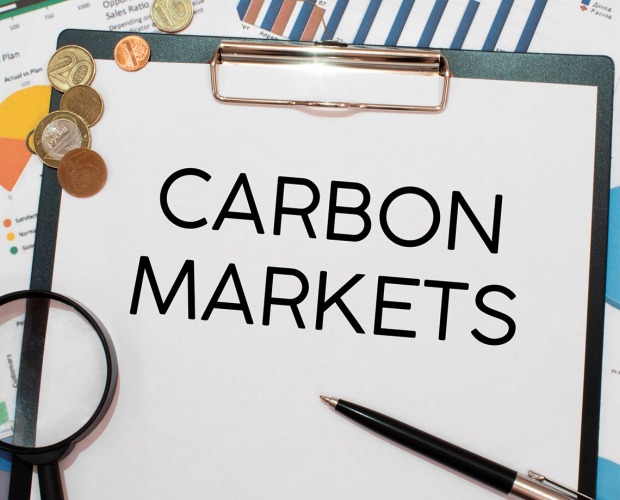 Carbon markets