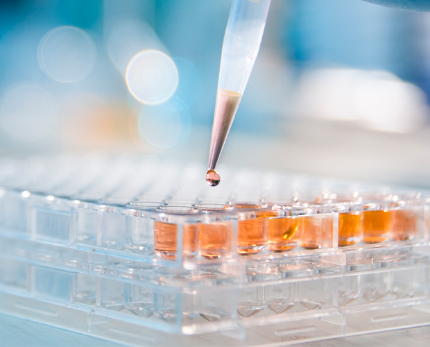 Efforts to Decrease Animal Testing and Usher in New Technologies
